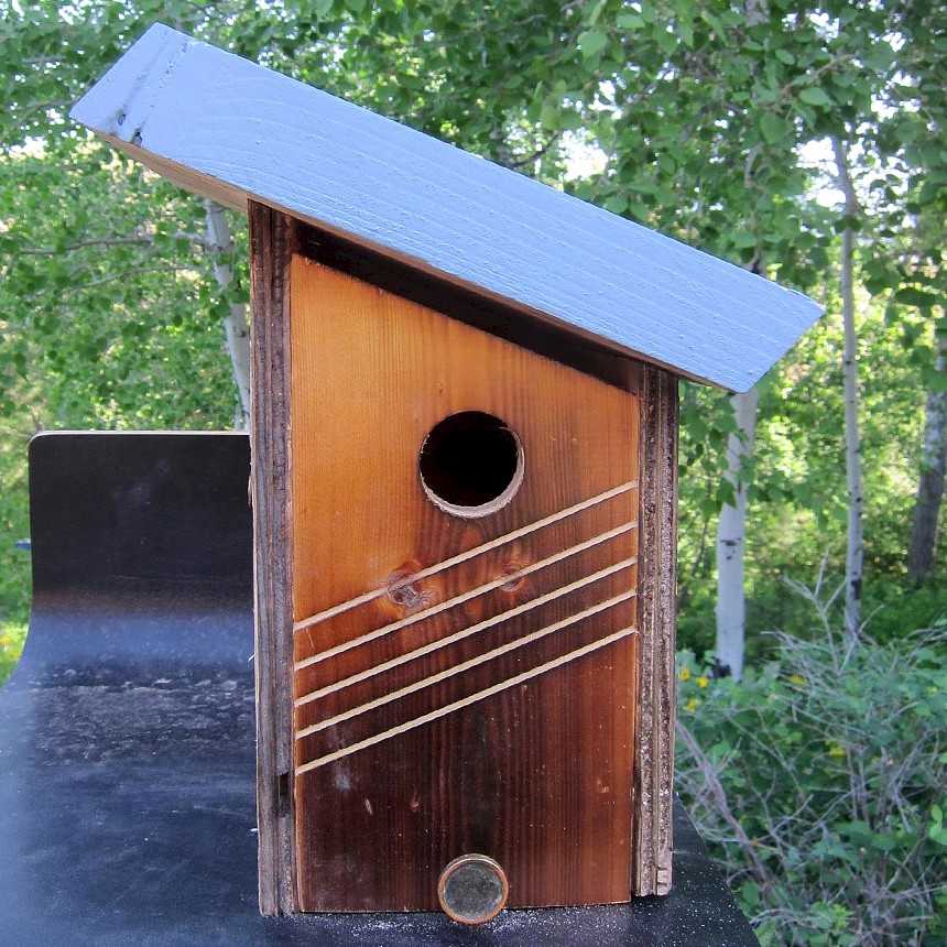 Bird Houses for Rent