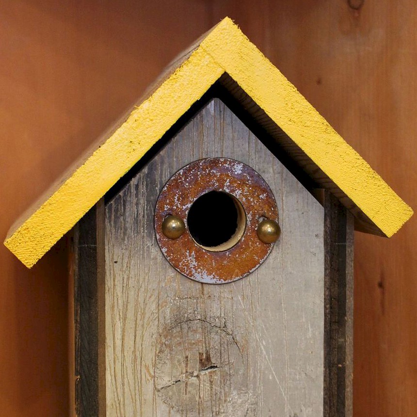 Bird Houses for Rent